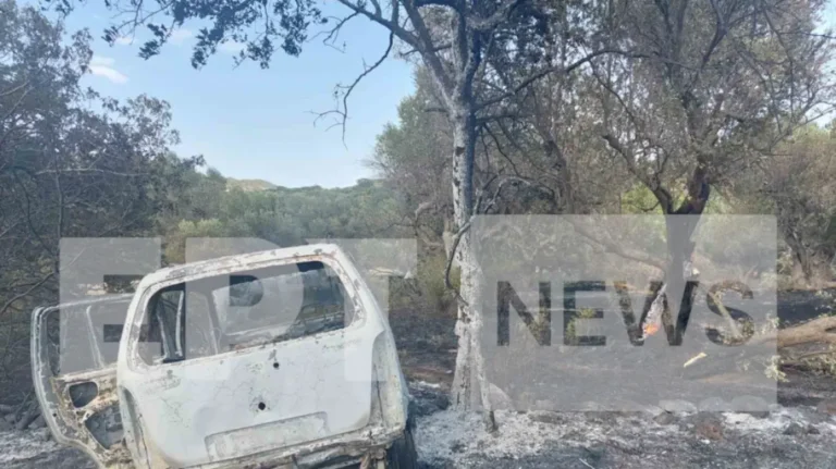 Φωτογραφία από το αυτοκίνητο που προσέκρουσε σε δέντρο και άρπαξε φωτιά στη Λέσβο – Νεκρός ο 82χρονος οδηγός